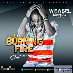 Radio & Weasel - Burning Fire